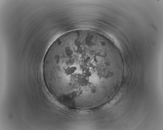 X0000112110899200908181345