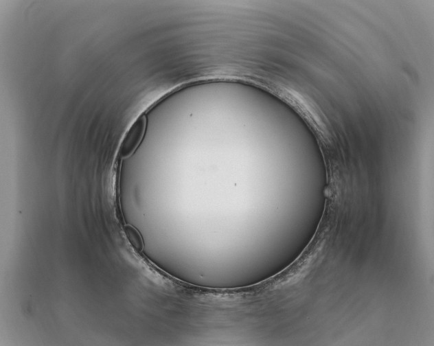 X0000112110900200908181345