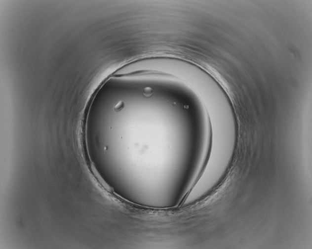 X0000112110901200908181345