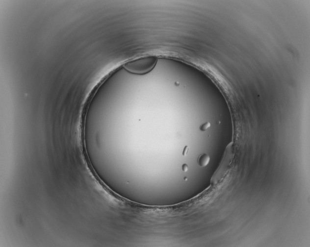 X0000112110902200908181345