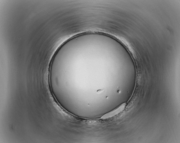 X0000112110903200908181345