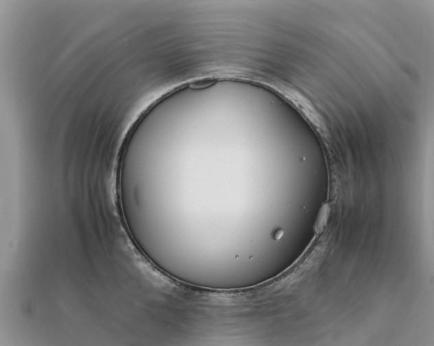 X0000112110904200908181345