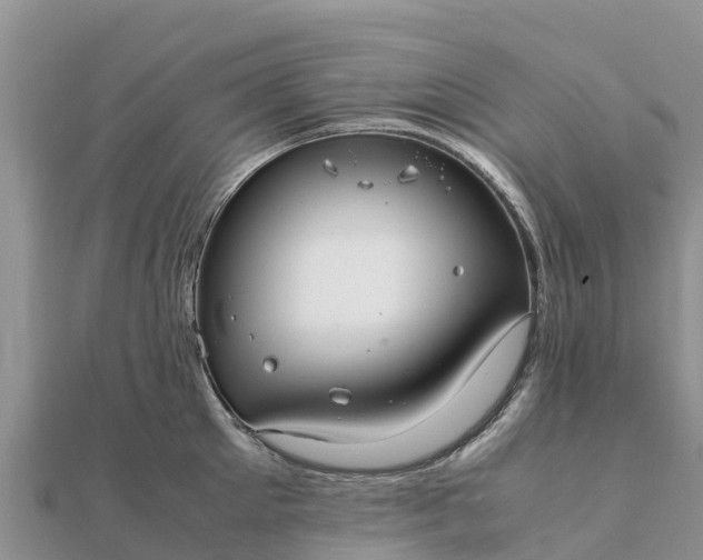 X0000112110905200908181345