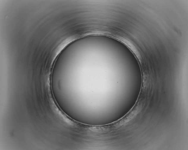 X0000112110906200908181345