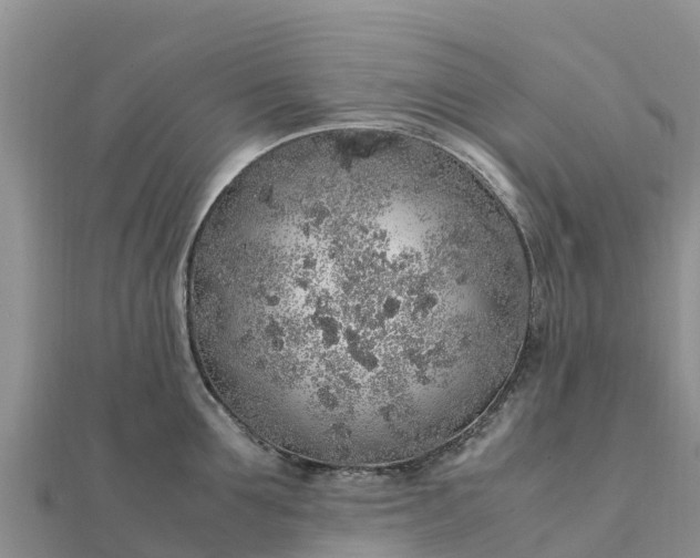 X0000112110907200908181345