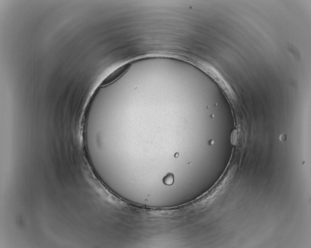 X0000112110908200908181345