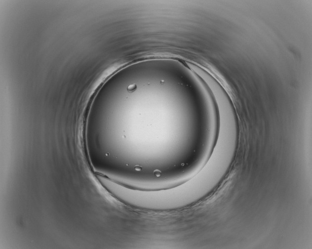 X0000112110909200908181345