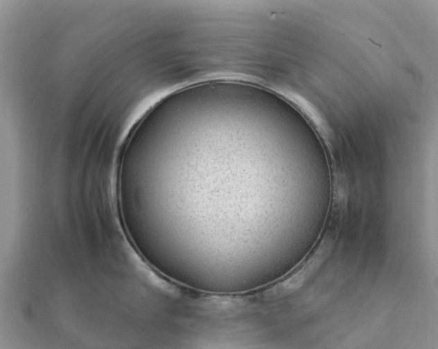 X0000112110910200908181345