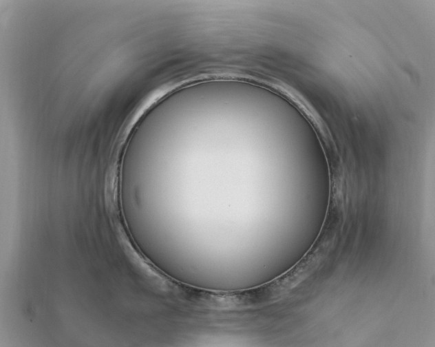 X0000112110911200908181345