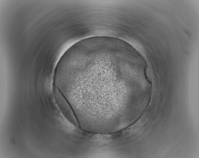 X0000112110912200908181345