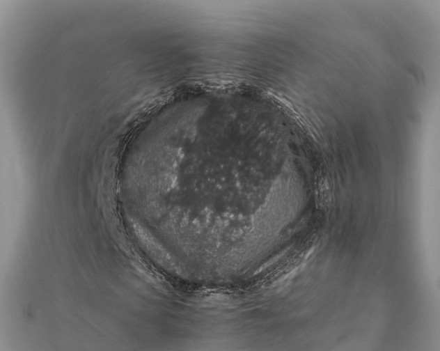 X0000112110913200908181344