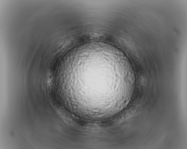 X0000112110914200908181344