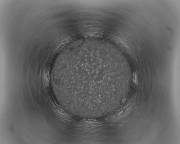 X0000112110915200908181344