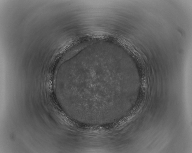 X0000112110916200908181344