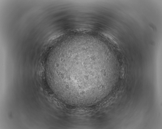 X0000112110917200908181344