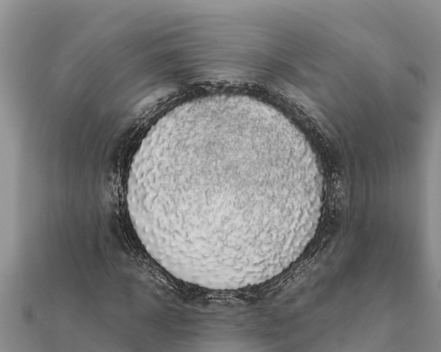 X0000112110918200908181344