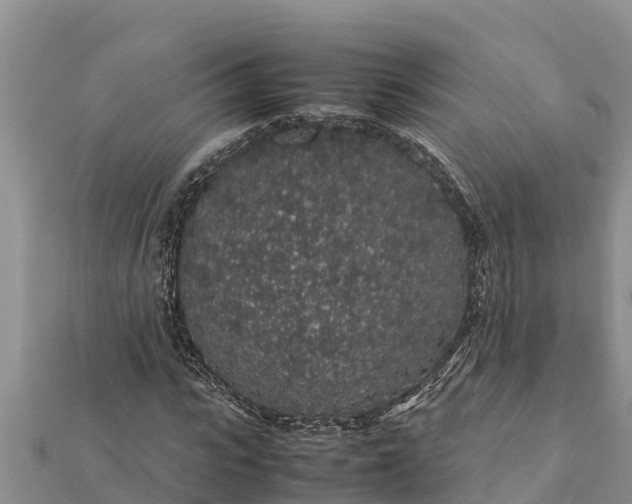 X0000112110919200908181344