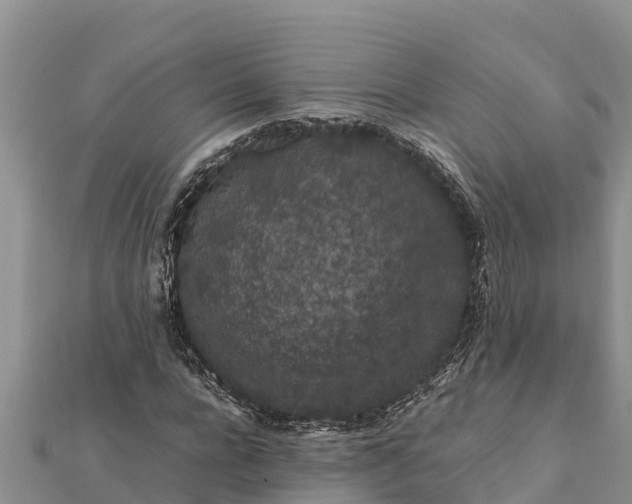 X0000112110920200908181344