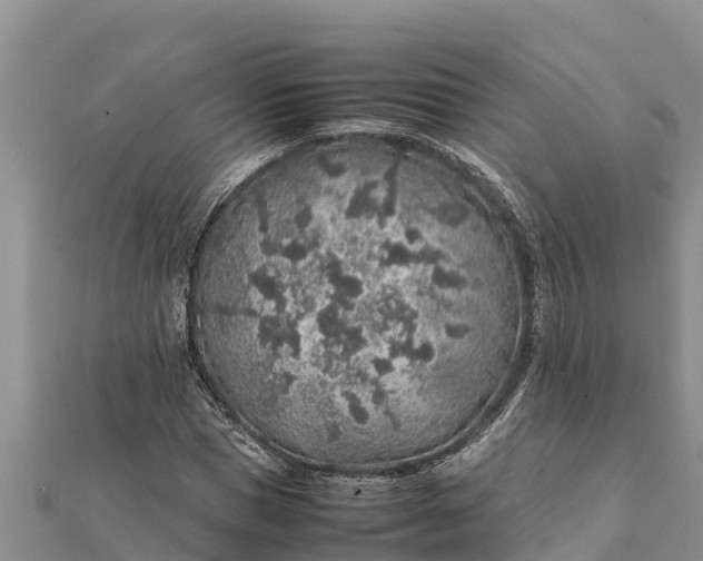 X0000112110921200908181344