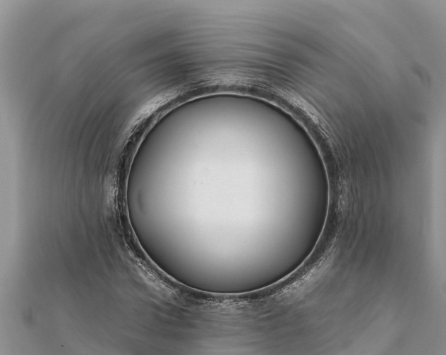 X0000112110922200908181344