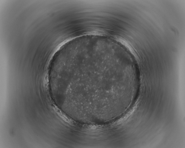 X0000112110923200908181344