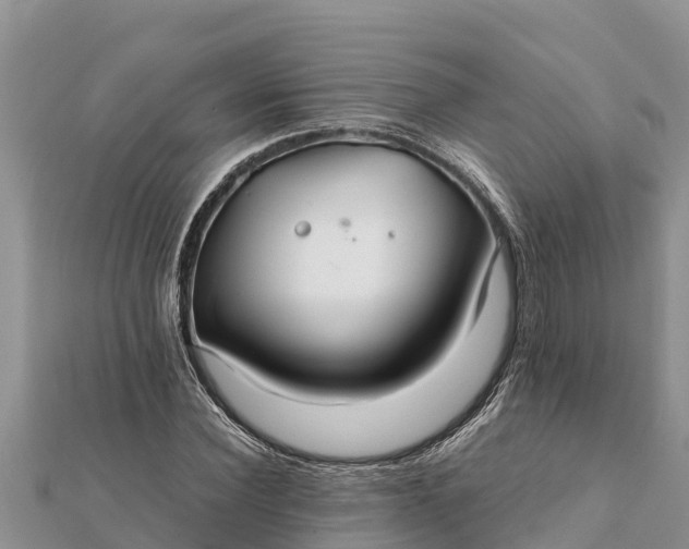 X0000112110924200908181344