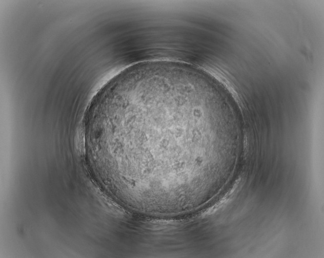 X0000112110925200908181344