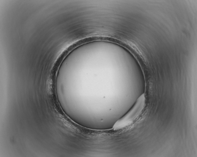 X0000112110926200908181344