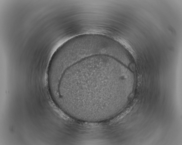 X0000112110928200908181344