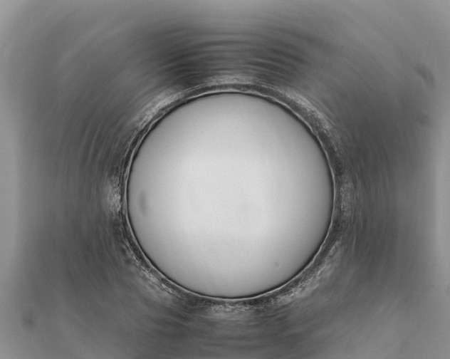 X0000112110929200908181344