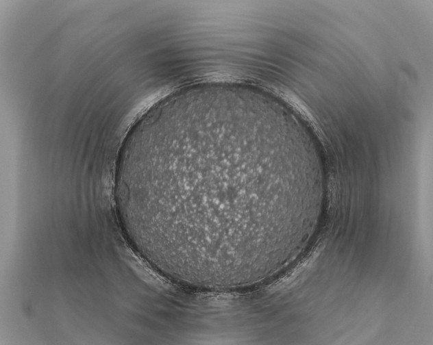 X0000112110930200908181344