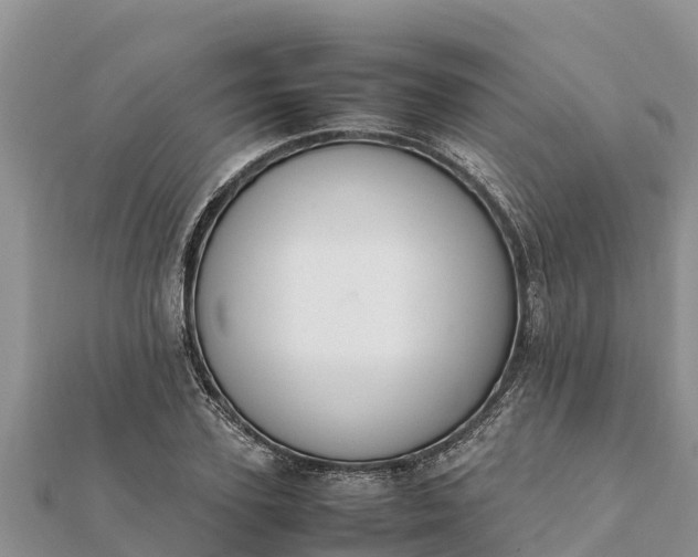 X0000112110931200908181344