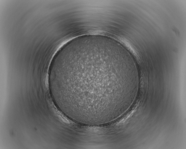 X0000112110932200908181344