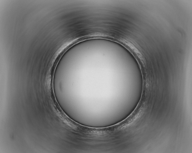 X0000112110933200908181344