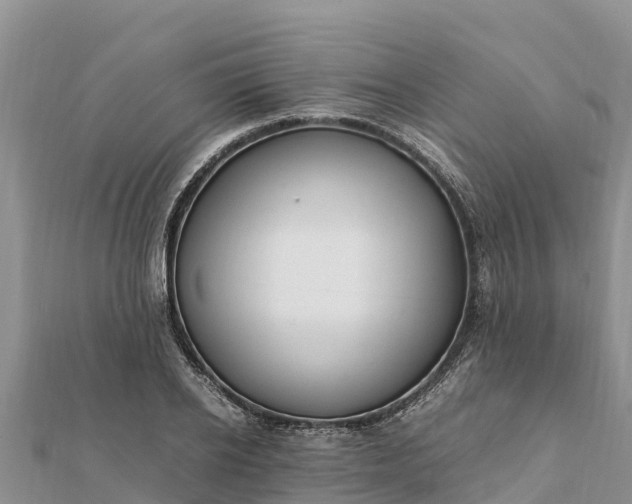 X0000112110934200908181344