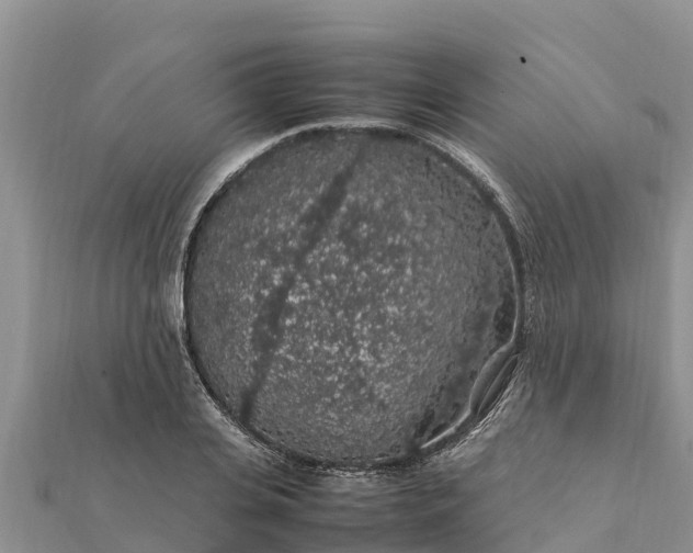 X0000112110935200908181344