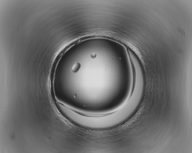 X0000112110936200908181344