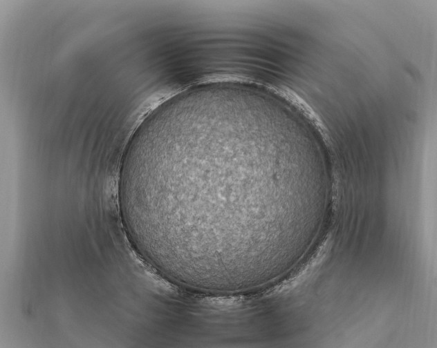 X0000112110937200908181344