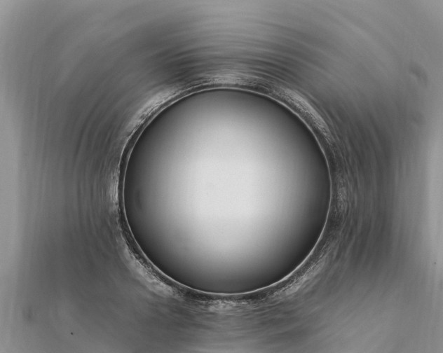 X0000112110938200908181344