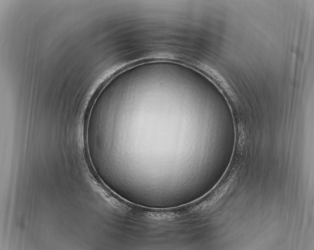 X0000112110939200908181344