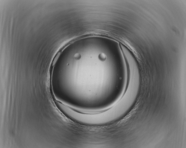 X0000112110940200908181344