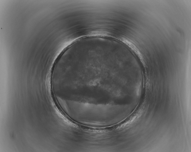 X0000112110941200908181344