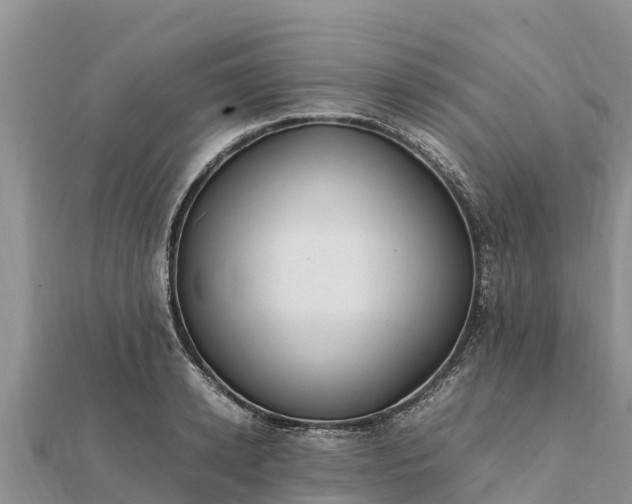 X0000112110942200908181344