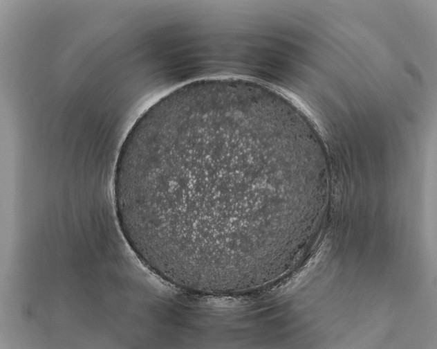 X0000112110943200908181344