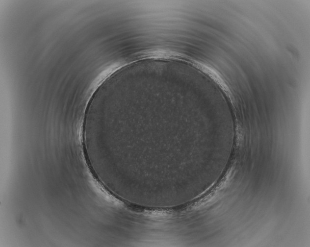 X0000112110946200908181344