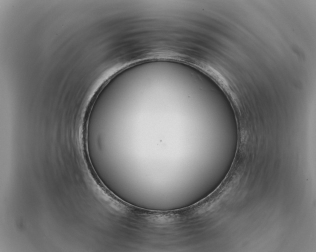 X0000112110947200908181344