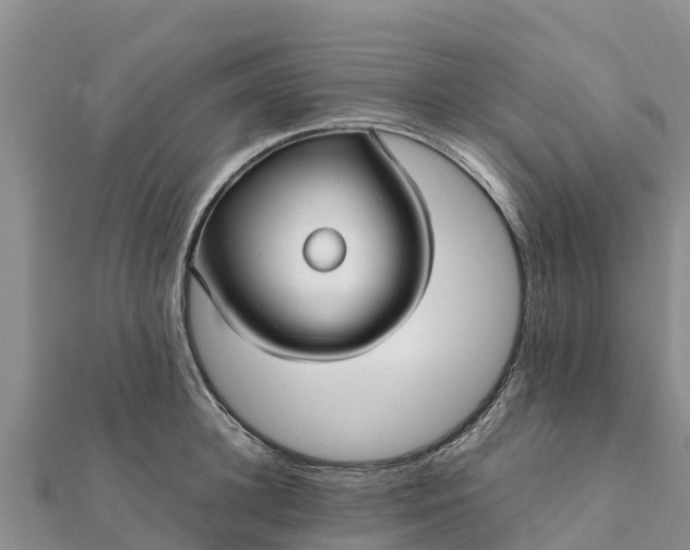 X0000112110948200908181344