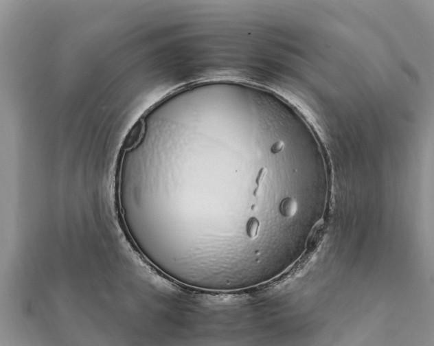 X0000112110949200908181344