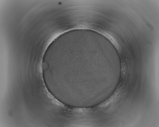 X0000112110950200908181344