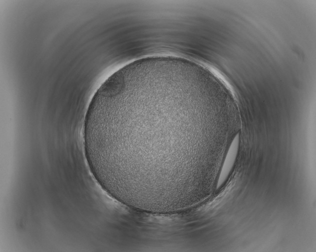 X0000112110951200908181344